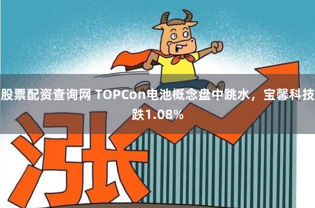股票配资查询网 TOPCon电池概念盘中跳水，宝馨科技跌1.08%
