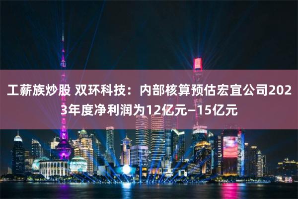 工薪族炒股 双环科技：内部核算预估宏宜公司2023年度净利润为12亿元—15亿元